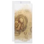 da Vinci - Embryo Sketch rack cards
