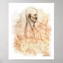 da Vinci - Man and Horse posters