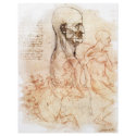 da Vinci -- Man and Horse Sketch flyers