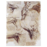 da Vinci -- Shoulder Sketch flyers
