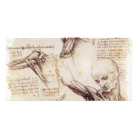 da Vinci -- Shoulder Sketch photo cards