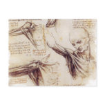 da Vinci -- Shoulder Sketch postcards