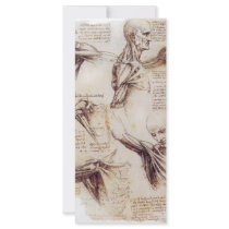 da Vinci -- Shoulder Sketch Rack Card