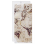 da Vinci -- Shoulder Sketch rack cards