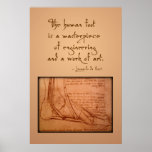 da Vinci: "The human foot is..."