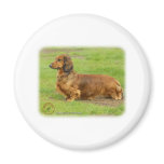 Dachshund 9R086D-033 magnets