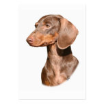 Dachshund 9Y420D-82 business cards