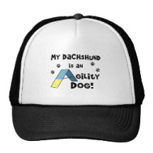 Dachshund Agility Dog Hat