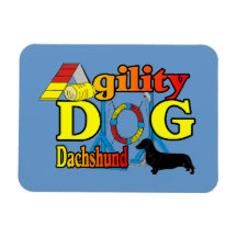 Dachshund_Agility Magnets