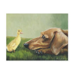 "Dachshund and Duckling" Post Cards
