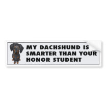 Dachshund (Black and Tan) Honour