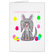 Dachshund Black Somebunny Loves Me cards