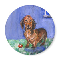 Dachshund blue room portrait fridge magnet