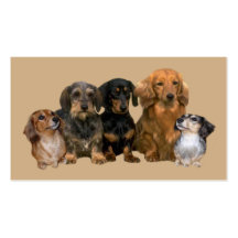 Dachshund Breeder Business Card