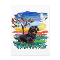 Dachshund (BT) - Sun Glow