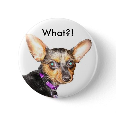 Dachshund button by rescueadog