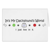 Dachshund