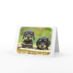Dachshund cards