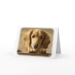 Dachshund Card