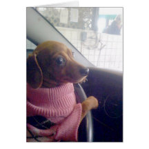 Dachshund  Card