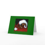Dachshund Christmas Card