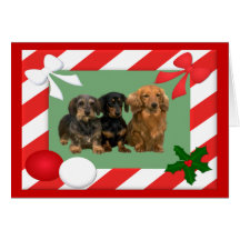 Dachshund Christmas Card Frame