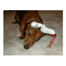 Dachshund Christmas Post Card