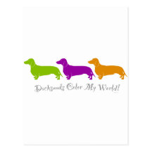 Dachshund Colour My World Post Cards