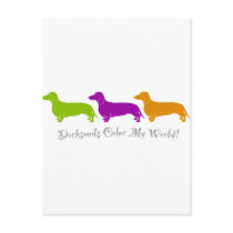 Dachshund Colour My World