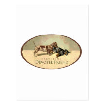 Dachshund..Devoted Friend Post Card