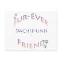 Dachshund Furever postcards