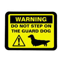 Dachshund Guard Dog Warning (Long Haired Doxie) Magnet