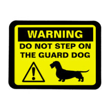 Dachshund Guard Dog Warning (Wire Haired Doxie) Magnets