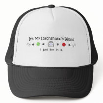 Dachshund