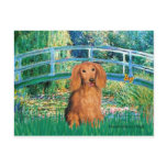 Dachshund (LHSable) - Bridge postcards