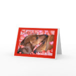 Dachshund Love - Valentines Day