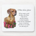 Dachshund Lovers Gifts mousepads