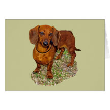Dachshund Miniature Gift Greeting Card