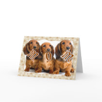 DACHSHUND MOM