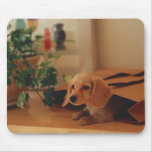Dachshund Mouse Mats