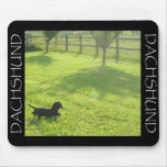 Dachshund Mousepad