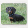 Dachshund Mousepad