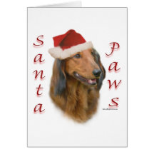 Dachshund Paws - Longhair Cards