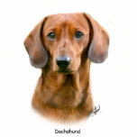 Dachshund photo sculptures