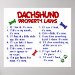 DACHSHUND PL2 posters