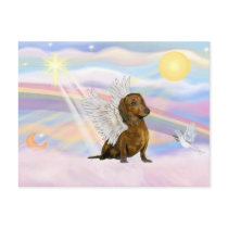 Dachshund Postcard