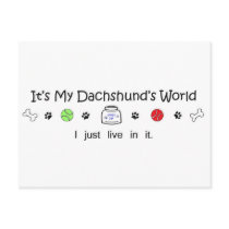 Dachshund