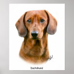 Dachshund posters