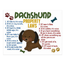 Dachshund Property Laws 4 Postcards