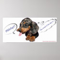 Dachshund Puppy Attitude Poster posters